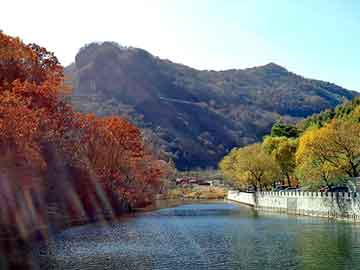 新澳门最精准免费大全，日本山田气动隔膜泵